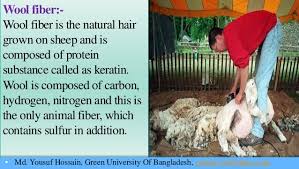 Other natural fibers are more often made into area rugs, including sisal, cotton, seagrass, jute, silk, and coir. Natural Textile Fibers Cotton Jute Silk Wool