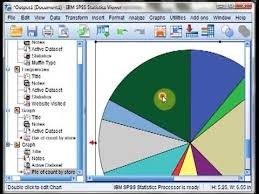 Frequency Tables Graphs Pie Charts In Spss