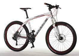 Focus Black Forest 3 0