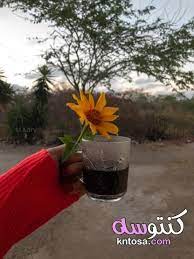 .في الدُّنْـيا وَالآخِـرَة ، اللّهُـمَّ إِنِّـي أسْـأَلُـكَ العَـفْوَ وَالعـافِـيةَ في ديني وَدُنْـيايَ وَأهْـلي وَمالـي ، اللّهُـمَّ اسْتُـرْ عـوْراتي وَآمِـنْ رَوْعاتـي ، اللّهُـمَّ احْفَظْـني مِن بَـينِ يَدَيَّ وَمِن خَلْفـي وَعَن يَمـيني وَعَن. ØµÙˆØ± Ø§ÙŠØ¯ Ø¨Ù†Øª Ø±Ù…Ø²ÙŠØ§Øª ÙØªØ§Ù‡ Ù…Ø§Ø³ÙƒÙ‡ ÙˆØ±Ø¯Ù‡ ØµÙˆØ± ÙŠØ¯ Ù…Ø§Ø³ÙƒØ© ÙˆØ±Ø¯Ø© ÙŠØ¯ Ù…Ø§Ø³ÙƒÙ‡ ÙˆØ±Ø¯Ù‡ Ø­Ù…Ø±Ø§Ø¡ Plants