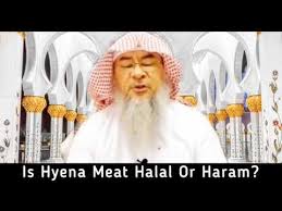 Halal consumers now spend $20 billion on food each year in the united states. Is Hyena Meat Halal Or Haram Sheikh Assim Al Hakeem Youtube