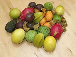 Die sternfrucht, auch bekannt als karambole oder carambola genannt, stammt ursprünglich aus indonesien und malaysia. Sternfrucht Karambola Averrhoa Carambola Baumschule Horstmann