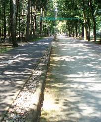 The two original forest villages of kladno and buštěhrad developed after 1842 as the industrial centre of the kladno. The 8 Best Things To Do In Kladno Czech Republic