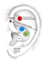 See more ideas about reflexology, acupressure … Die Nada Akupunktur Beruhigung Und Integration Balancierte Ohrakupunktur