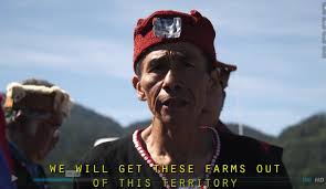 Morton Vs Marine Harvest: First Nation Vs The Corporation