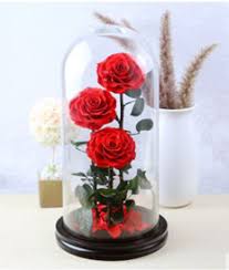 We did not find results for: Anniversary Flowers Singapore Delivery Angel Florist