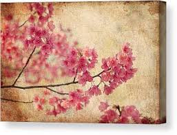 The original is on canvas, matted prints are available in standard sizes. Cherry Blossom Canvas Prints Fine Art America