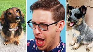 Eugene lee yang, who is one quarter of youtube's the try guys, has come out of the closet in spectacular fashion — via a music video that also serves as a massive fundraiser for the trevor project. Keith Reviews 101 Puppies Youtube