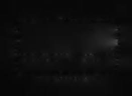 Image result for Isachne buettneri