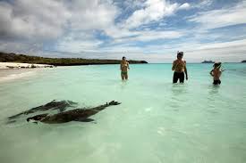 Photos dedicated to promoting the conservancy &. Wo Liegen Die Galapagos Inseln Info Zu Rundreisen Finden Sie Bei Uns