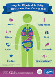 Image result for Cancer Prevention