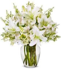 Maybe you would like to learn more about one of these? Amazon Com Expressing Your Sympathy Same Day Sympathy Flowers Delivery Sympathy Flower Sympathy Gifts Send Online Sympathy Plants Flowers Garden Outdoor