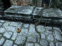 Having Killed Vittoria Vici A Few Times Now. Was Randomly Exploring And  Just Discovered This Was An Option. : R/Skyrim