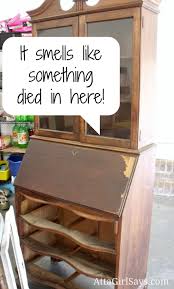 How To Get Gross Smells Out Of Old Furniture Diy Furniture Redo Furniture Furniture Diy