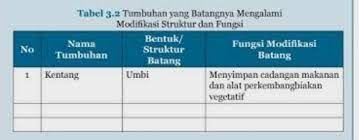 Hallo, ada yang bisa dibantu tentang rangkuman materi ipa kelas 8 semester 2 k13 revisi. Ipa Kelas 8 Semester 1 Halaman 112 Tabel 3 2 Brainly Co Id