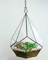Podvesnojflorarium Kaplya Polnostyu Kak I Obeshala Florarium Terrarium Sukkulent Handmade Leviflower Geometric Terrarium Succulent Display Terrarium Diy