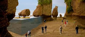 Tourism Nb Hopewell Rocks The Official Site For The