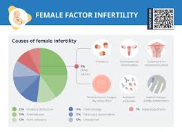 Image result for Female Infertility