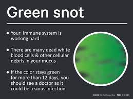 It's made up of dead white blood cells (a.k.a. What The Color Of Your Mucous Means