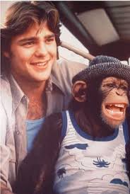 Bj And The Bear Theme Song Famousfix Photo B J And The Bear Childhood Tv Shows Classic Television Old Tv Shows