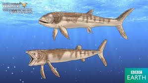 La leedsichthys est un genre éteint poisson, dont espèce type a été représentée par leedsichthys problematicus (arthur smith woodward, 1889), un poisson géant qui vivait dans les océans jurassique, 165 à il y a 155 millions d'années. Walking With Dinosaurs Leedsichthys By Trefrex Walking With Dinosaurs Prehistoric Wildlife Dinosaur