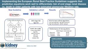 Ypertension and parenchymal disease of the kidney are closely interrelated. Implementing The European Renal Best Practice Guidelines Suggests That Prediction Equations Work Well To Differentiate Risk Of End Stage Renal Disease Vs Death In Older Patients With Low Estimated Glomerular Filtration Rate