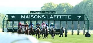 Resultats En Direct De Dimanche 16 Juillet A Maisons Laffitte Cheval De Course Actualite Quinte Du Jour