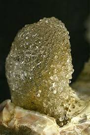 Minerals For Sale Small Miniature 3 4 5 Cm Minerals Crystals Minerals Rocks And Minerals