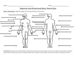 Free unlabelled diagram of the heart, download free clip. Anatomy Directional Terms Test Worksheets Teaching Resources Tpt