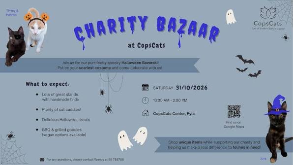 CopsCats Center | Pyla