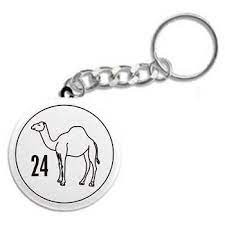 While the journey to recovery can begin in an instance, we know that it lasts for a lifetime. 24 Hour Camel Recovery Key Chain Sobriety Keychains Key Fobs And 12 Step Gifts
