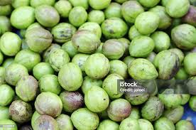 Image result for Terminalia bellirica