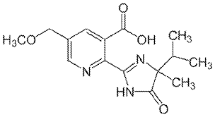 Image result for Dissotis longisepala
