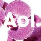 Ein mann findet 50.000 euro in einer plastiktüte. Aol Lifestyle Lifestyleaol Twitter