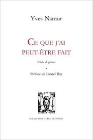 Il fait mauvais, il fait gris, il fait désagréable. Ce Que J Ai Peut Etre Fait Terre De Poesie Namur Yves 9782914577540 Amazon Com Books