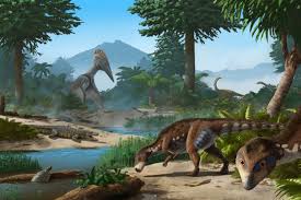 Image result for Dinophora