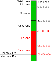 early primate evolution the first primates