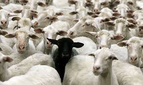 Locateplus | skip tracing & investigative data | 10 day risk free trial. Skip Tracing 8 Free Tools To Help Locate A Debtor Or Witness Swa Recovery And Investigation Group