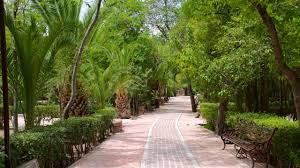 Image result for parque