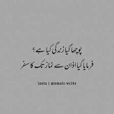 Work Until You No Longer Have To Introduce Yourself Meaning In Urdu Ayenoor In 2020 Sufi Quotes Islamic Quotes Urdu Quotes