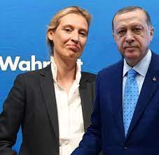 Pazderski verlangt vom „flügel transparenz. Erdogan Gibt Zu Mitglied Der Afd Zu Sein Welt