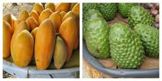 Sampling Exotic Fruits In Costa Rica Blog