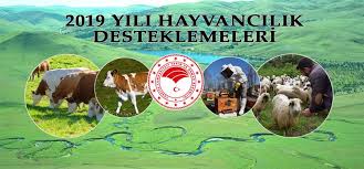 2019 Yili Hayvancilik Desteklemeleri Uygulama Tebligi Yayinlandi