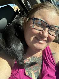 Rescue a loyal companion from shelter