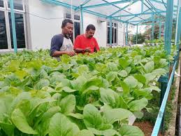 Tanpa pemahaman yang benar, menempatkan dana di saham bisa membuat anda untung atau rugi. Bosan Yang Menguntungkan