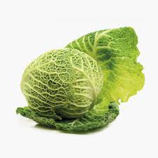 Maybe you would like to learn more about one of these? Cavolo Verza Dal Bello S R L