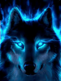 Many vertebrates, especially nocturnal ones, have the reflecting layer i'm luke bauserman, an aspiring novelist with a southern gothic fantasy in the works. White Wolf With Blue Eyes Gifs Tenor