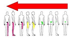 Image result for Low Back Standing Exam