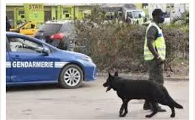 Infos - Blanchiment d'argent à Saint-Louis : La BR arrête une dame qui  commandait une mafia du sexe depuis 6 ans Alertées par les complaintes  répétées des habitants du quartier Léona de