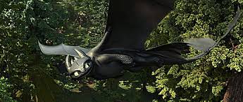 Pin By Anyad On Httyd Ê In 2021 How To Train Dragon How Train Your Dragon Httyd Dragons This could also mean that female night furies have a bit smoother and following this, in the hidden world, when toothless is watching two nadders dance, those are two females. httyd dragons